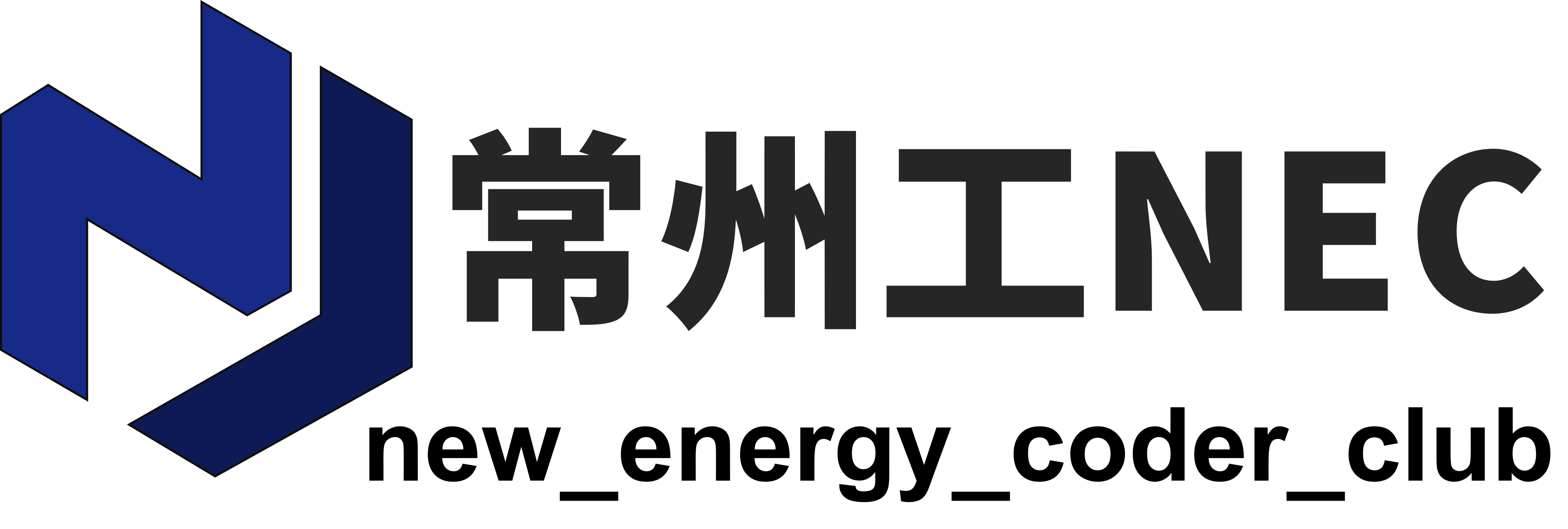 NEC Logo Light